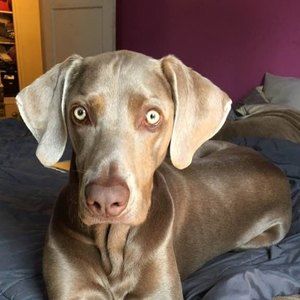 Meet your Posher, Ruth